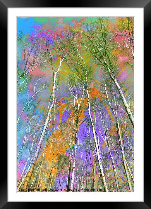 Silver Birch Framed Mounted Print by Michelle Orai