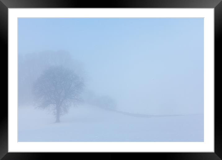 Winter tree Framed Mounted Print by Gary Finnigan
