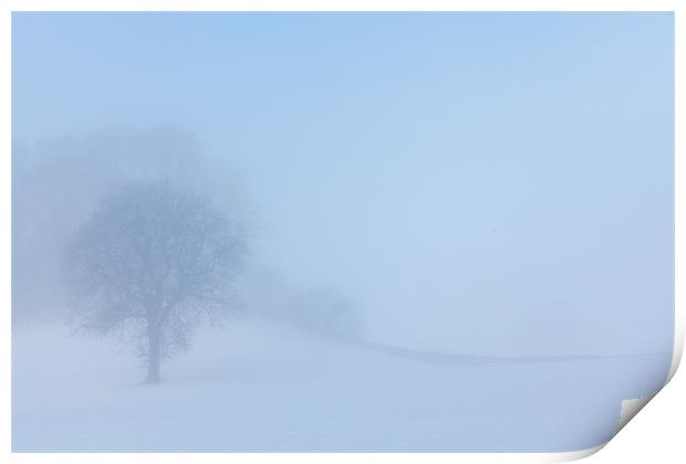 Winter tree Print by Gary Finnigan