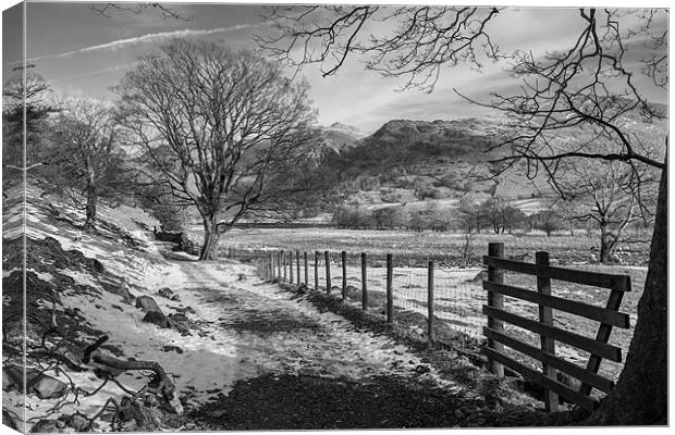 Country lane Canvas Print by Gary Finnigan