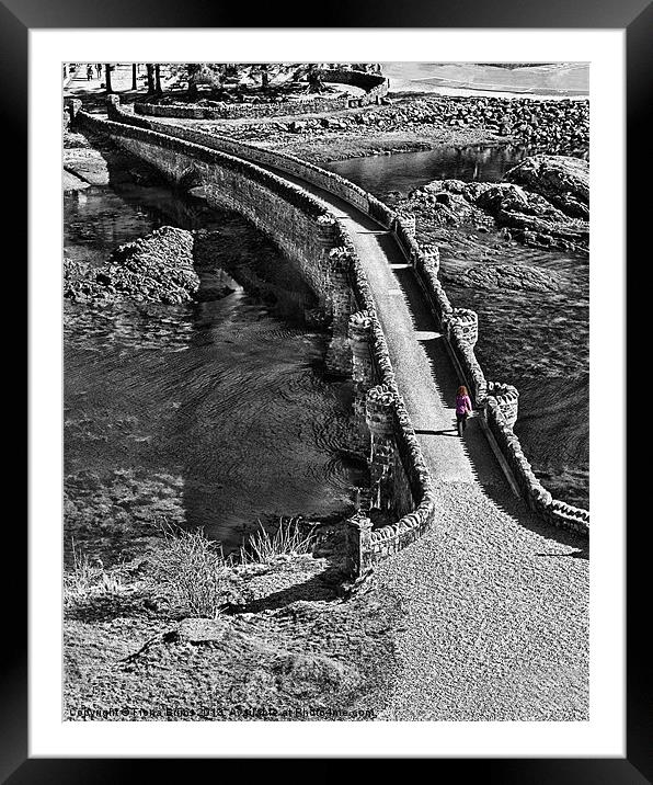 Pathway to Eilean Donan Framed Mounted Print by Fiona Brims