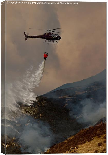 Dousing Hill Fires Canvas Print by Fiona Brims