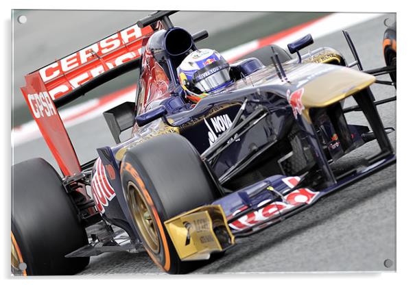 Daniel Ricciardo Toro Rosso 2013 Acrylic by SEAN RAMSELL