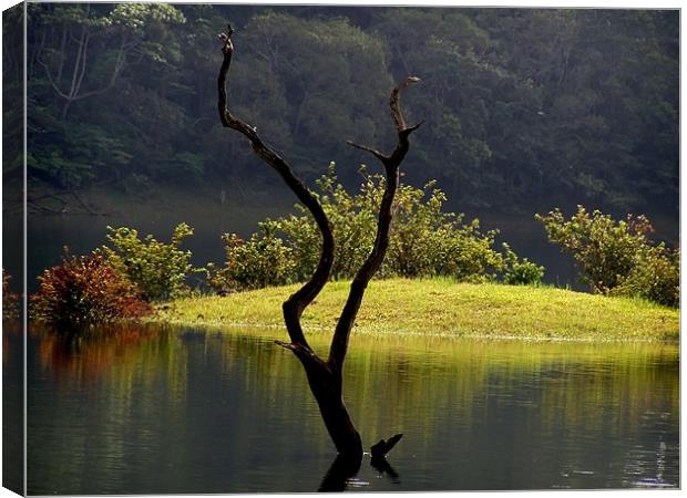 The Beautiful Thekkady Lake Canvas Print by Sajitha Nair