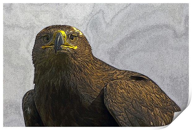 Golden Eagle Portrait with texture Print by Bill Simpson