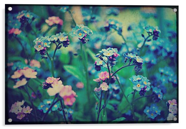 Pink & Blue. Acrylic by Rosanna Zavanaiu