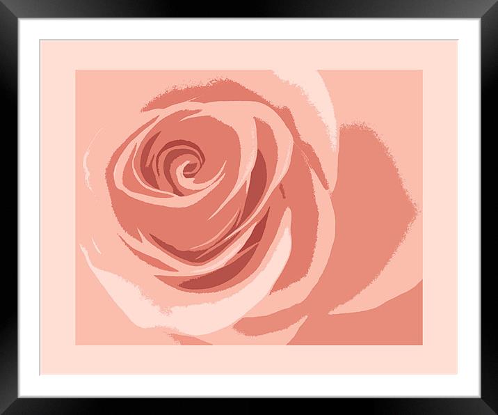 cutout rose Framed Mounted Print by Heather Newton
