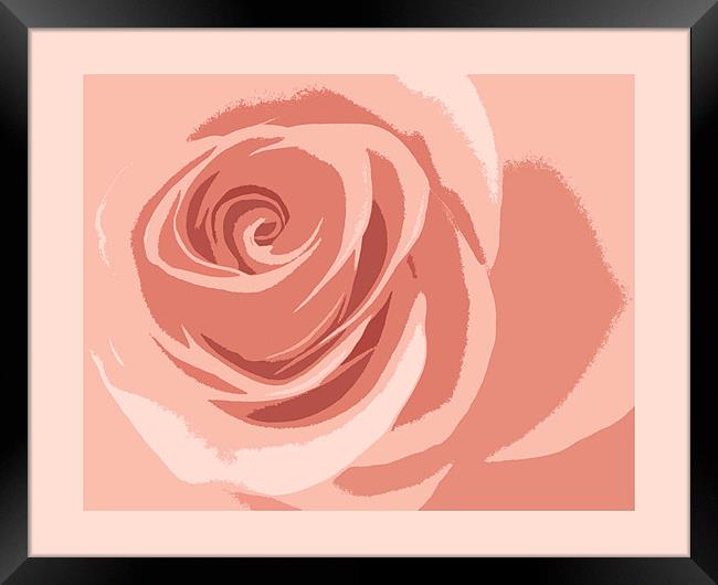 cutout rose Framed Print by Heather Newton