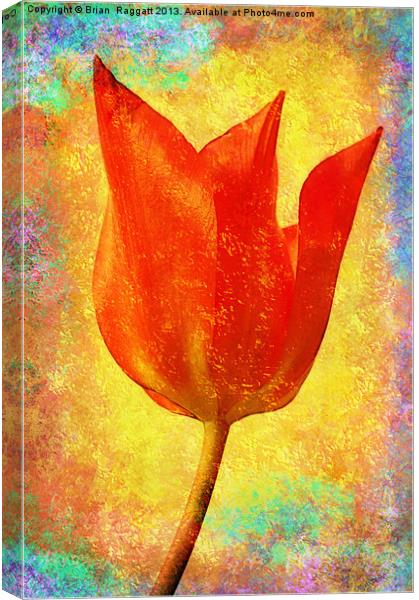 Textured Tulip Canvas Print by Brian  Raggatt