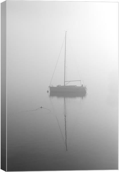 Duck below the mist Canvas Print by Gary Finnigan