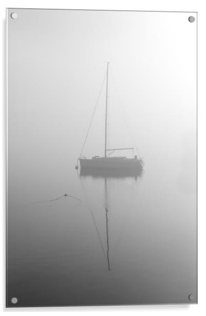 Duck below the mist Acrylic by Gary Finnigan