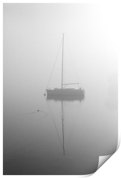 Duck below the mist Print by Gary Finnigan