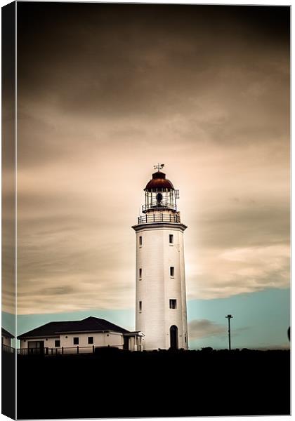 Lighthouse at Dangerpoint Canvas Print by Elizma Fourie