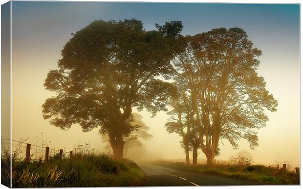 Twilight Guardians. Misty Roads of Scotland Canvas Print by Jenny Rainbow