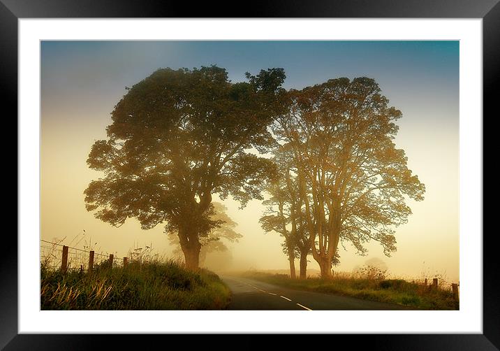 Twilight Guardians. Misty Roads of Scotland Framed Mounted Print by Jenny Rainbow