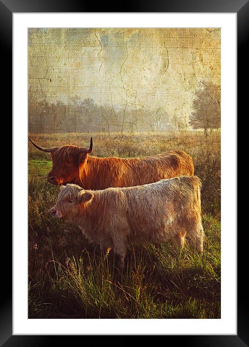 Highlanders. Scottish Countryside Framed Mounted Print by Jenny Rainbow
