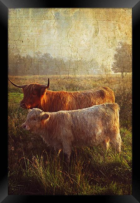 Highlanders. Scottish Countryside Framed Print by Jenny Rainbow