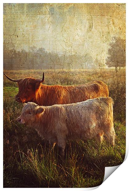 Highlanders. Scottish Countryside Print by Jenny Rainbow