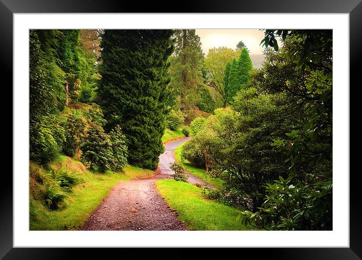 Pleasant Path. Benmore Botanical Garden. Scotland Framed Mounted Print by Jenny Rainbow