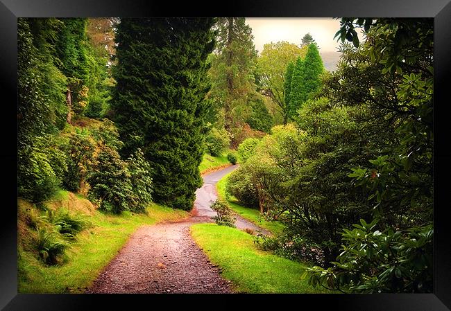 Pleasant Path. Benmore Botanical Garden. Scotland Framed Print by Jenny Rainbow