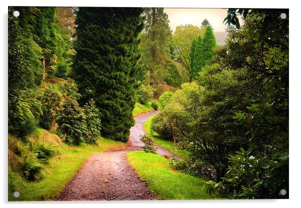 Pleasant Path. Benmore Botanical Garden. Scotland Acrylic by Jenny Rainbow