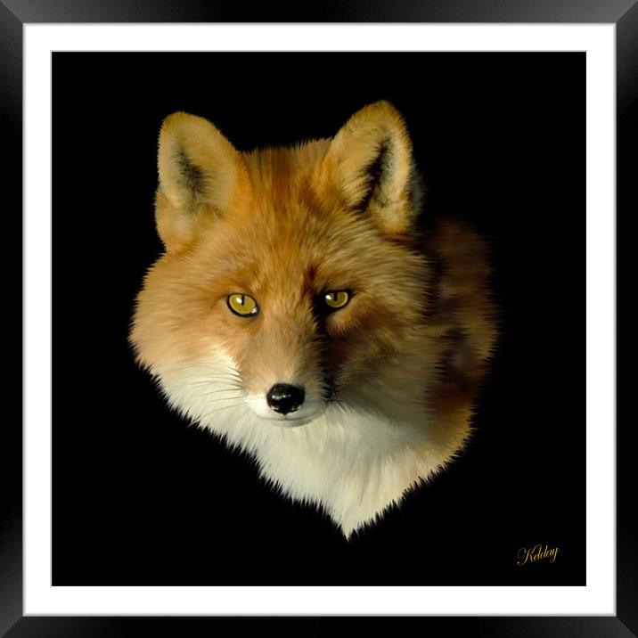 Red Fox Framed Mounted Print by Debra Kelday