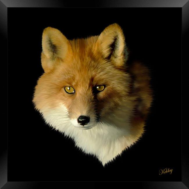 Red Fox Framed Print by Debra Kelday