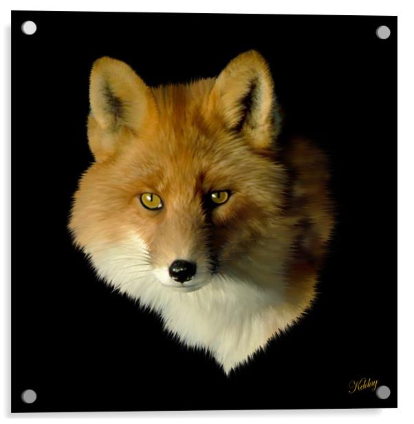 Red Fox Acrylic by Debra Kelday