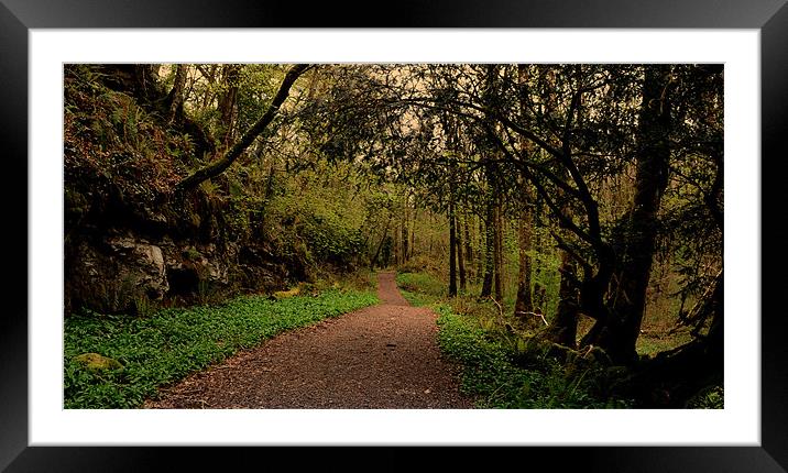Walking around Ross Castle Framed Mounted Print by barbara walsh