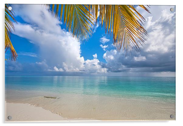 Postcard Perfection. Maldives Acrylic by Jenny Rainbow