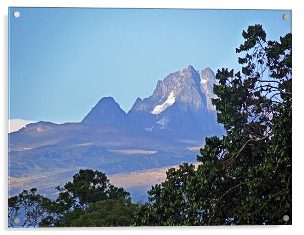 Mount Kenya Acrylic by Tony Murtagh