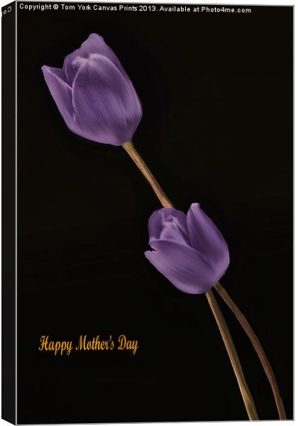 A MOTHERS DAY WISH Canvas Print by Tom York