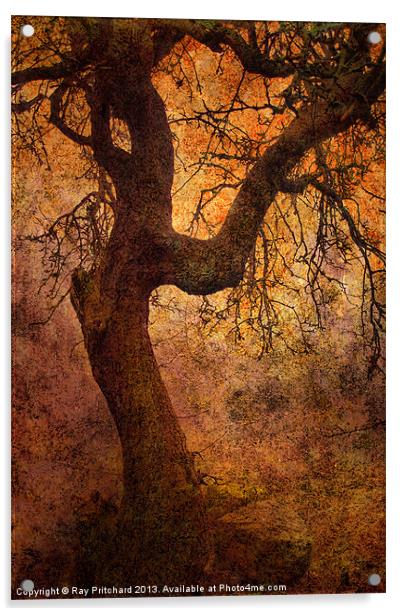 Tree Acrylic by Ray Pritchard