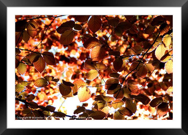 Copper Beech Leaves Framed Mounted Print by Michelle Orai