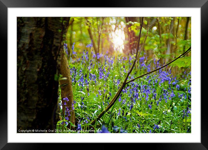 Bluebell Grotto Framed Mounted Print by Michelle Orai