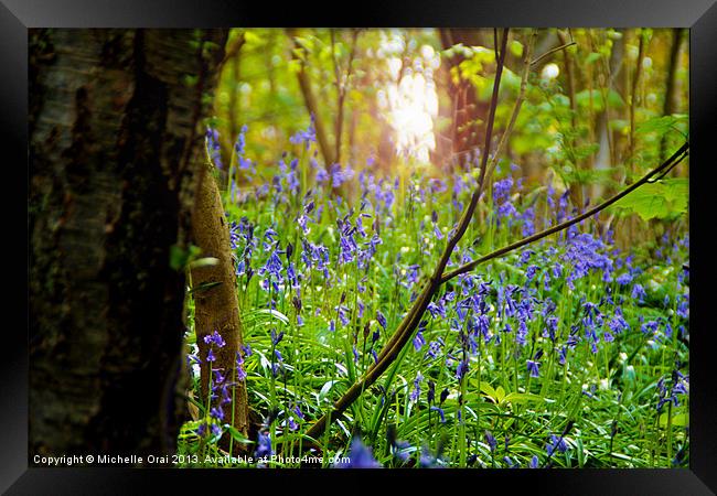 Bluebell Grotto Framed Print by Michelle Orai