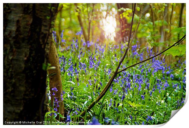 Bluebell Grotto Print by Michelle Orai