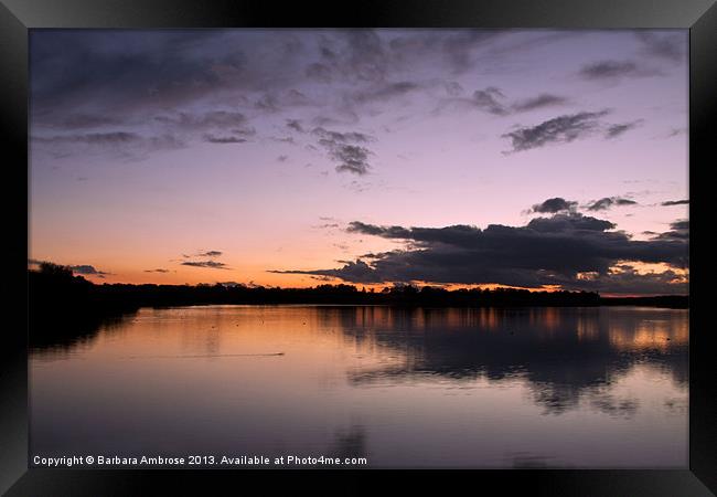 Sunset at Pitsford Framed Print by Barbara Ambrose