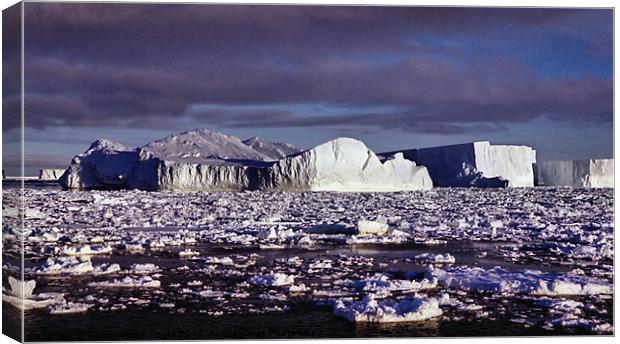 Icebergs Ross Sea Antarctica Canvas Print by Carole-Anne Fooks