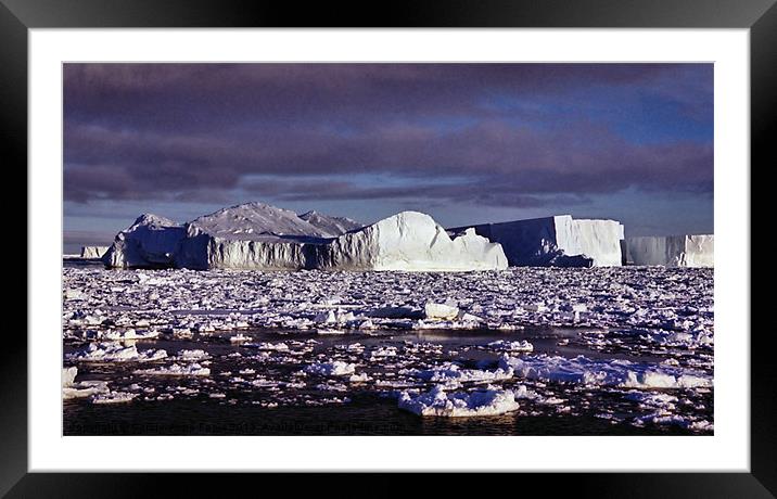 Icebergs Ross Sea Antarctica Framed Mounted Print by Carole-Anne Fooks