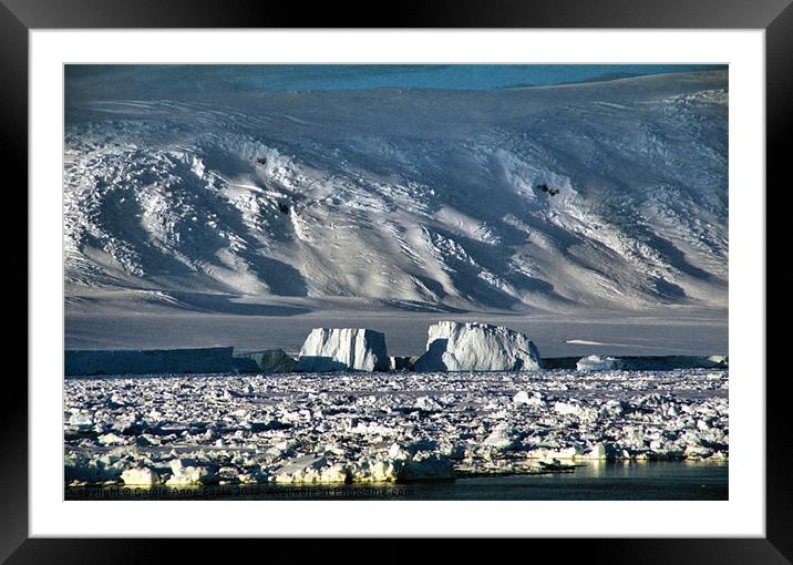 Icebergs & The Transantarctic Range Framed Mounted Print by Carole-Anne Fooks