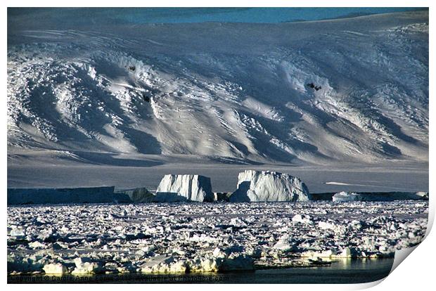 Icebergs & The Transantarctic Range Print by Carole-Anne Fooks