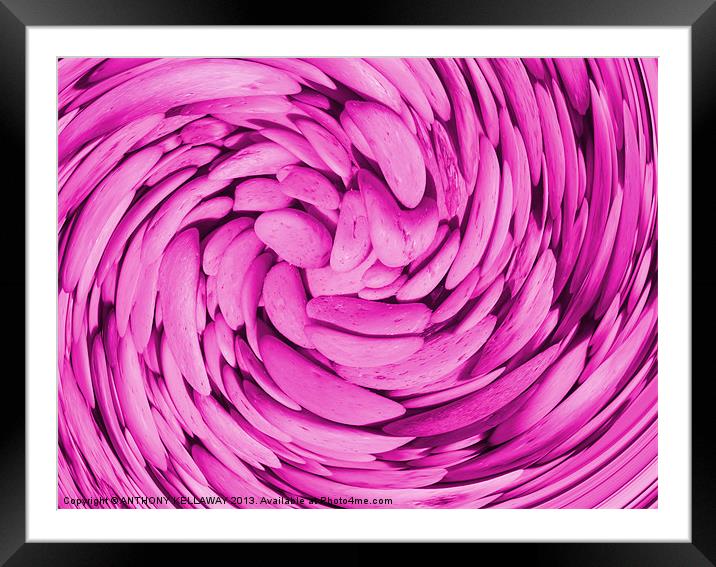 LILAC PEBBLE SWIRL ABSTRACT Framed Mounted Print by Anthony Kellaway