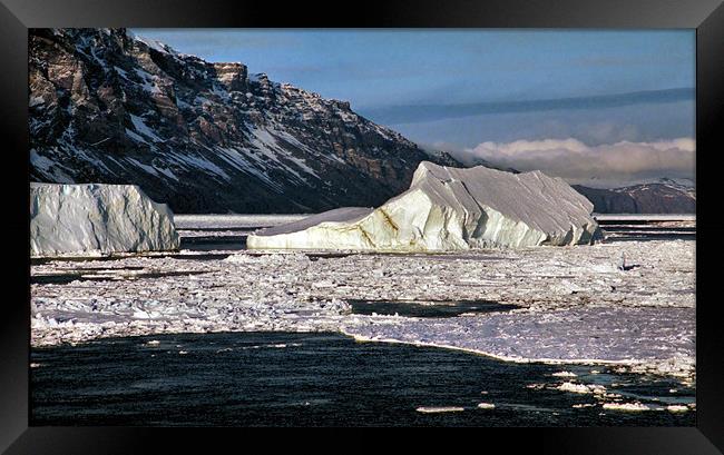 Icebergs Ross Sea Antarctica Framed Print by Carole-Anne Fooks
