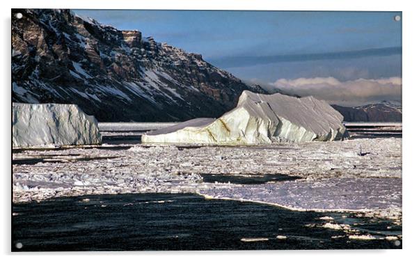 Icebergs Ross Sea Antarctica Acrylic by Carole-Anne Fooks