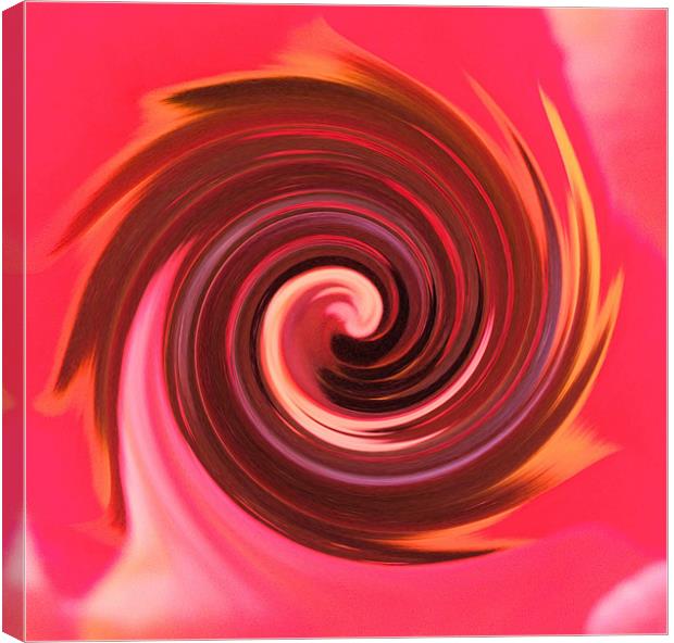 Red Swirl Canvas Print by carin severn