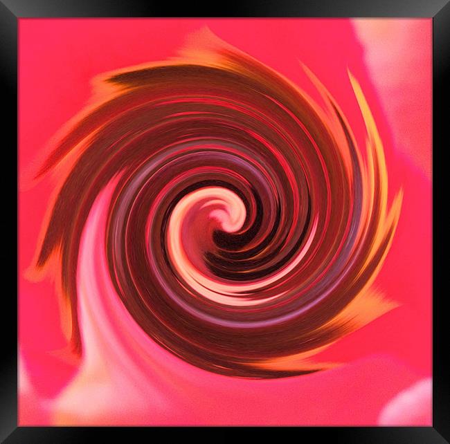 Red Swirl Framed Print by carin severn