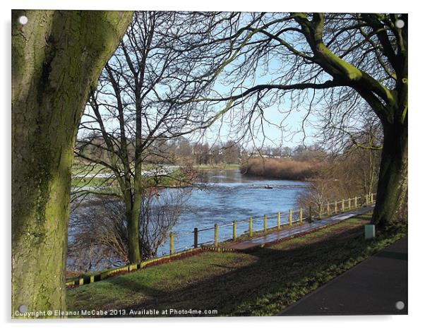 River Eden in Winter! Acrylic by Eleanor McCabe