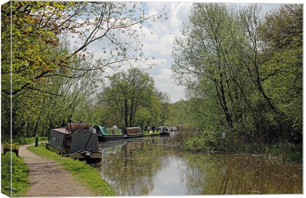 Narrowboats moored on Oxford Canal Canvas Print by Tony Murtagh