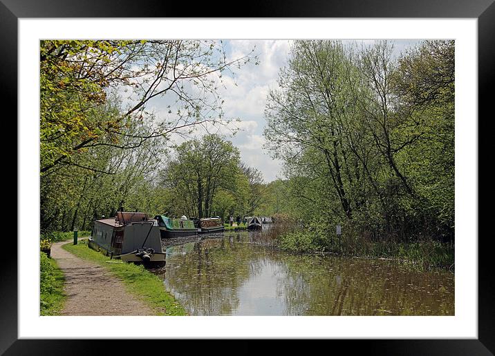 Narrowboats moored on Oxford Canal Framed Mounted Print by Tony Murtagh